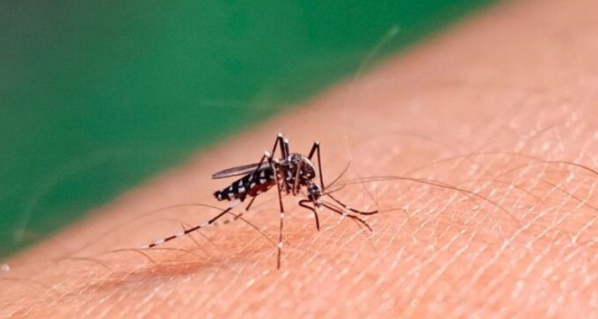 Dengue: la provincia insiste en la prevención